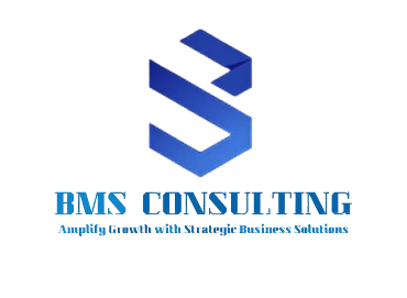 BMS CONSULTING